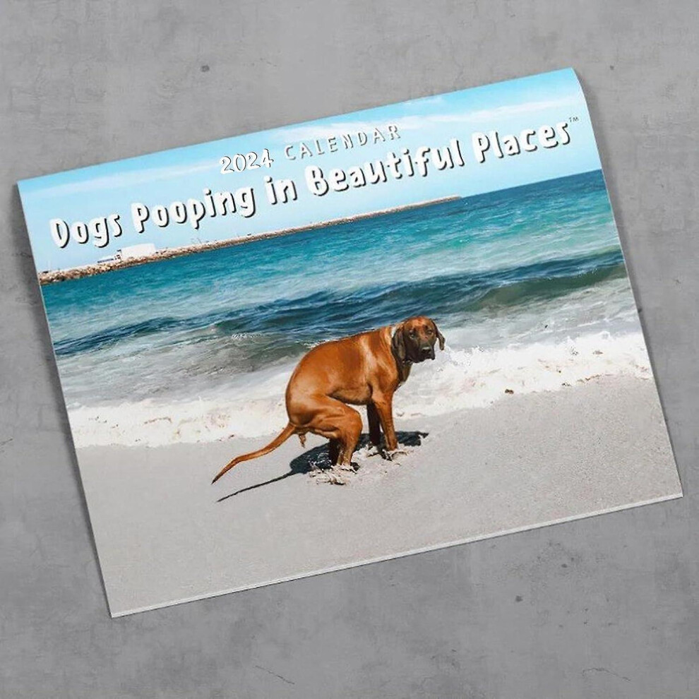 2024 Calendar - Dogs Pooping In Beautiful Places Wall Calendar January 2024 From December, Funny Wall Art Gag Humor Gift Prank Calendar, Gifts For Fri-image-OPC-PDR6XMH-NEW