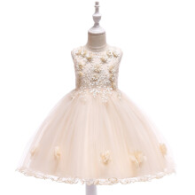 (Champagne, 5-6Years) Kids Girls Flower embroidery princess dress gown