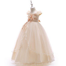 (Champagne, 4-5Years) Kids Girls applique princess dress Party gown UK