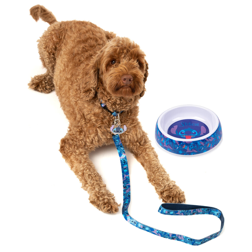 (Medium) Disney Bowl , Collar , Charm and Lead Gift Set (Unisex Blue)