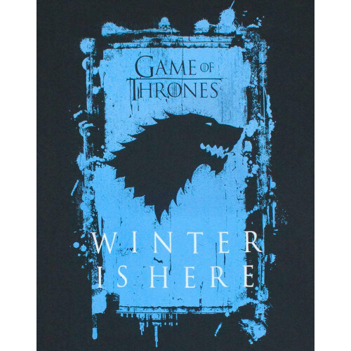 Game of Thrones (Medium) Game of Thrones Short Sleeved T-Shirt (Mens Black) 2