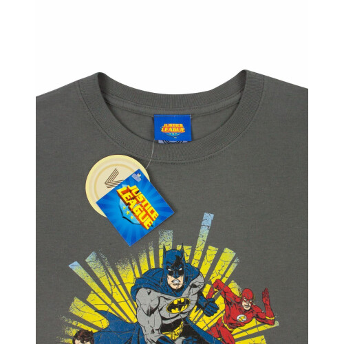 DC Comics (Small) DC Comics Short Sleeved T-Shirt (Mens Grey) 2