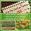 Wooden Plant Seedling Dibbers Vegetable Planting Tool 6