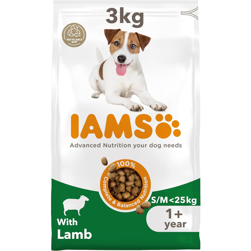 IAMS Complete Dry Dog Food for Adult 1+ Small and Medium Breeds with Lamb 3 kg