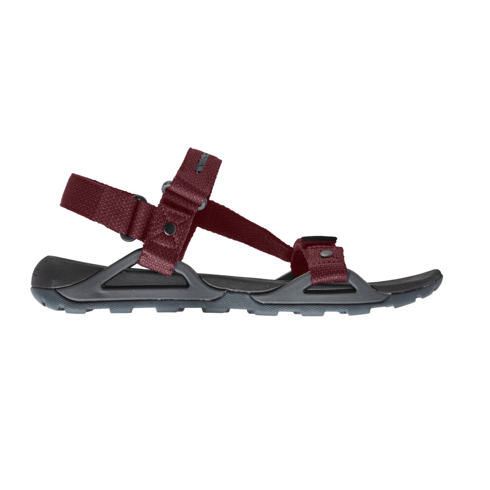 (7 UK, Dark Grey/Pompeian Red) Craghoppers Mens Locke Sandals