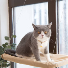 Cat Window Hammock with Suction Cups - Singlelayer, All-Season, Easy Install, Durable Fabric for Small Spaces