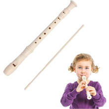 Descant Recorder, Recorder, Soprano Recorder 8 Holes With Cleaning Rod, Detachable Plastic Soprano Recorder Musical Instrument, For Kids Adults Beginn