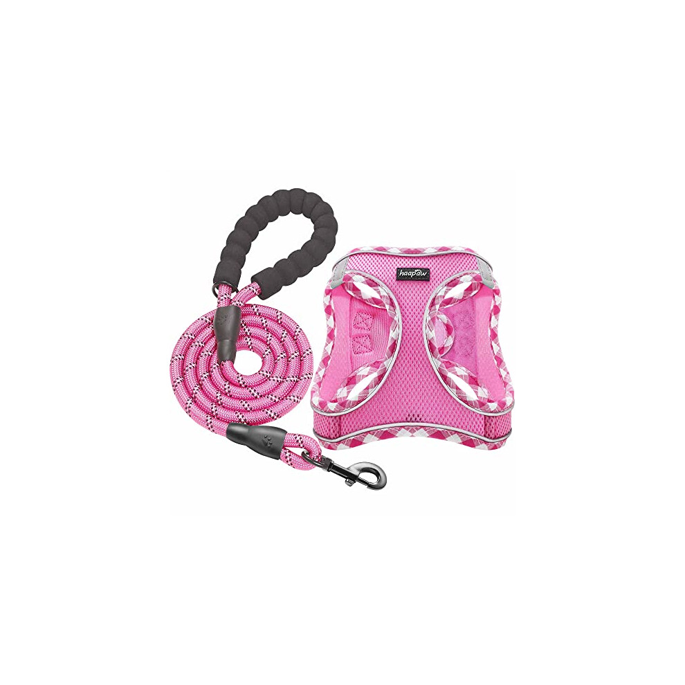 haapaw Dog Harness and Lead Set, No Pull Adjustable Reflective Step-in Puppy Harness with Thickened Padded Vest for Extra-Small/Small Medium Dogs