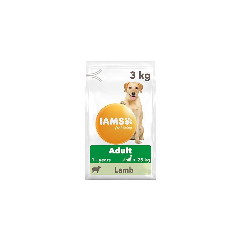 IAMS Complete Dry Dog Food for Adult 1+ Large Breeds with Lamb 3 kg