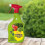 Provanto 86600250 Fungus Fighter Plus, 1L - Fast Acting Fungus Control - Up To 3 Weeks Protection - Fungus Gnat Killer - Fungicide Spray - Plant 5