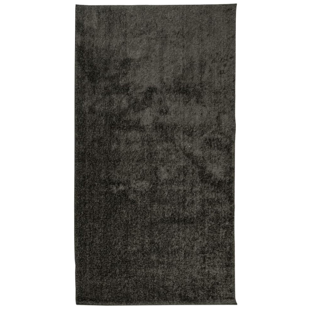 (anthracite, 80 x 150 cm) vidaXL Rug Shaggy Rug Fluffy Area Rug Soft Carpet High Pile Mat Shiny Look