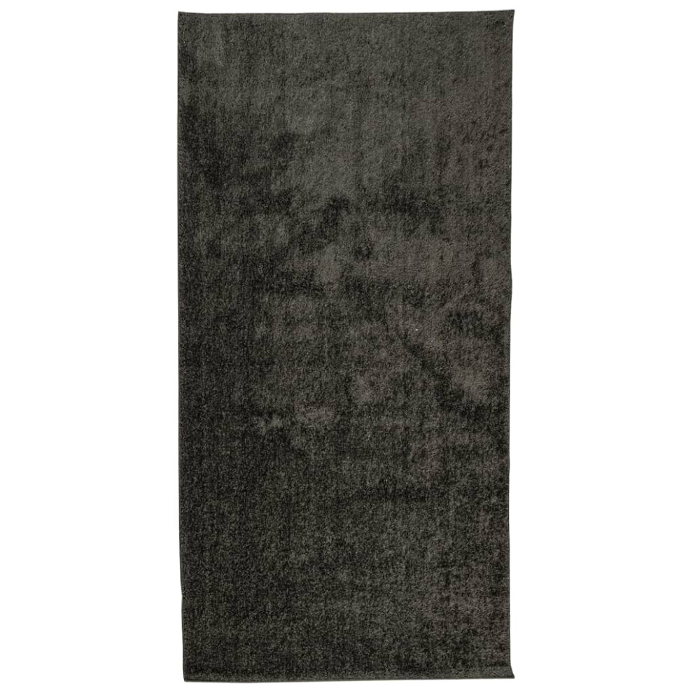 Vidaxl (Anthracite, 100 X 200 Cm) Rug Shaggy Rug Fluffy Area Rug Soft Carpet High Pile Mat Shiny Look