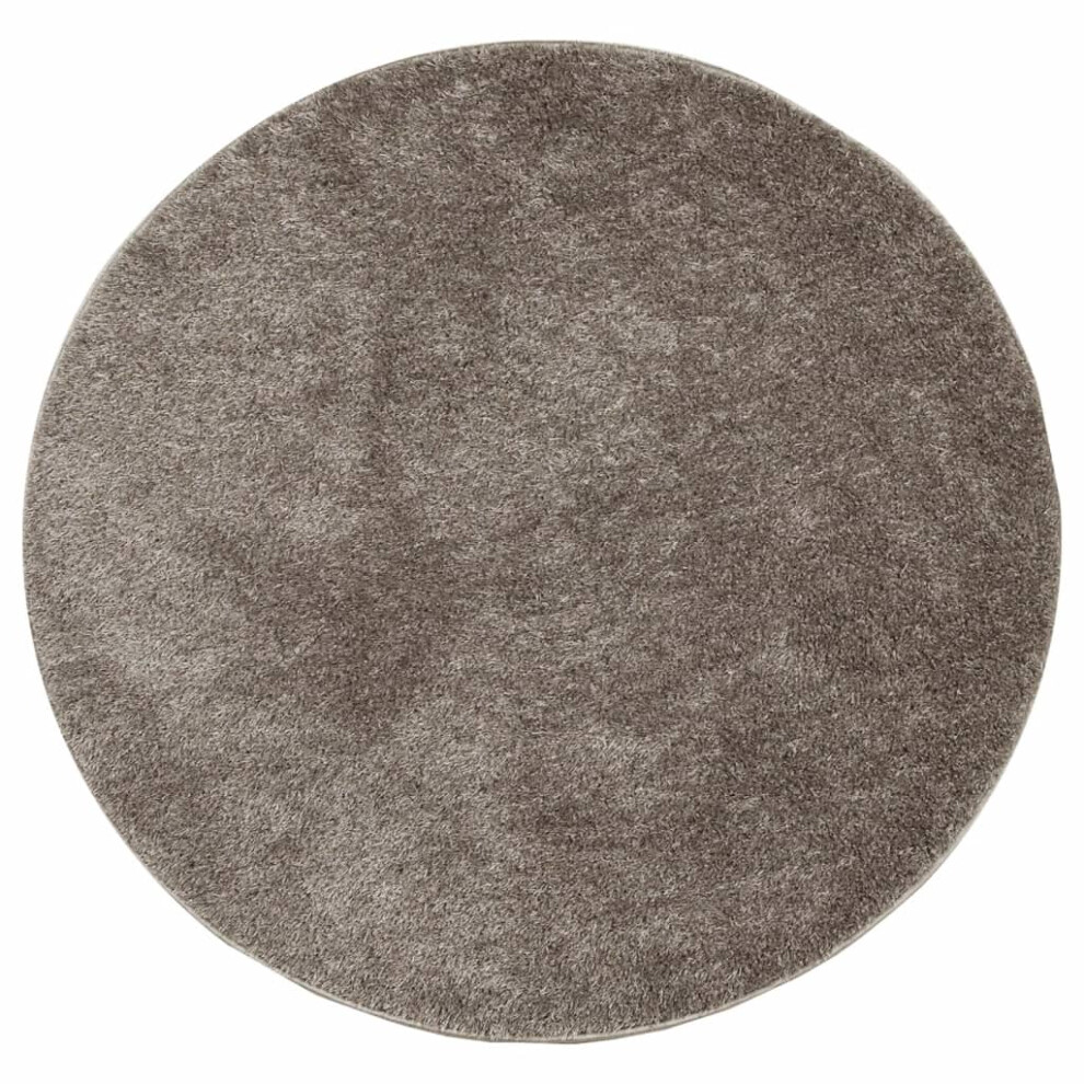 (grey, 100 cm) vidaXL Rug Shaggy Rug Fluffy Area Rug Soft Carpet High Pile Mat Shiny Look