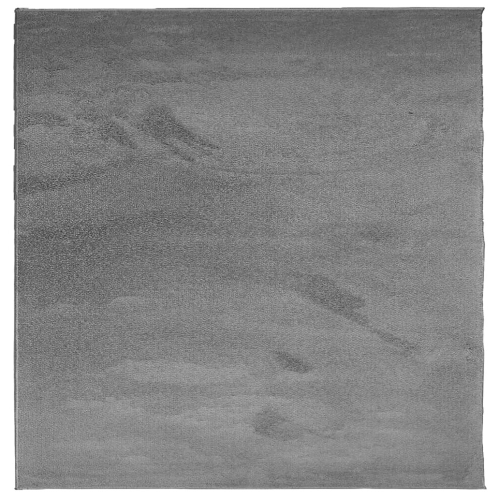 Vidaxl Rug Short Pile Soft And Washable Rug Floor Mat Area Rug Anthracite