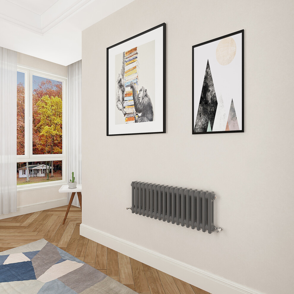(300x830mm 2 Column) Designer cast iron radiator anthracite all sizes