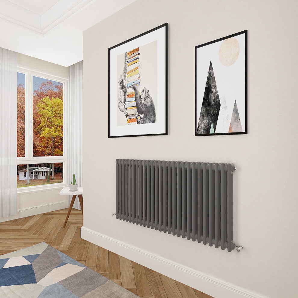 (600x1190mm 2 Column) Designer cast iron radiator anthracite all sizes