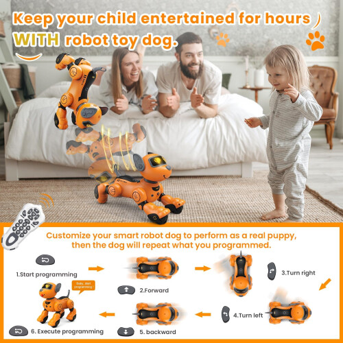 Speech Control Robot Dog Toy for Kids, Interactive Touch & Follow Functions(Orange) 2
