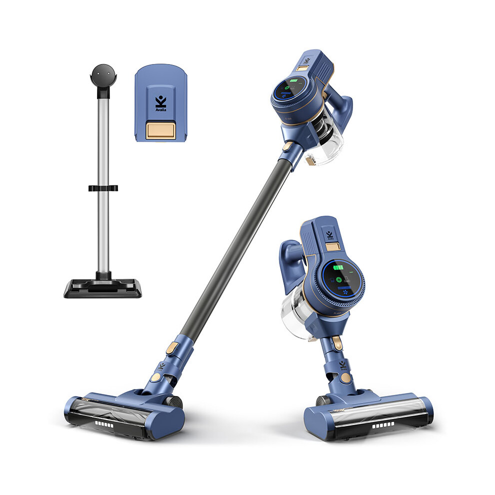 Avalla D-50 Cordless Vacuum Cleaner Bundle: Battery Pack & Floor Stand