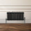 Traditionele 2 Kolom Radiator - 300 x 832mm - Zwart 10