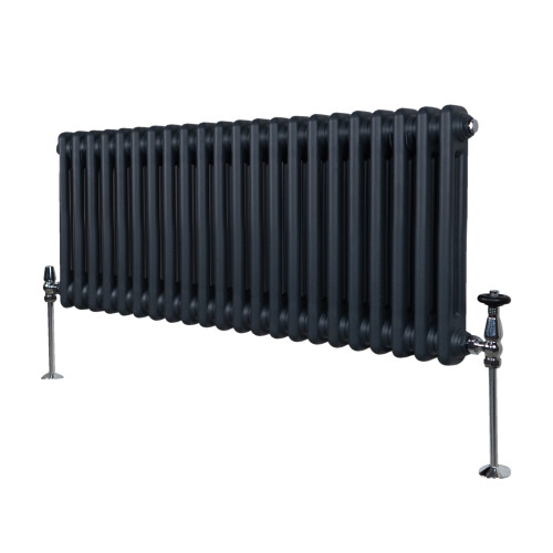 Παραδοσιακό καλοριφέρ 2 στηλών - 300 x 1012 mm - γκρι ανθρακί 2