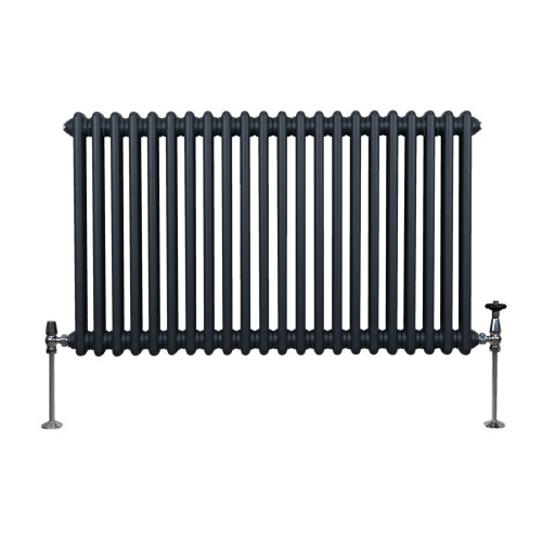 Παραδοσιακό καλοριφέρ 2 στηλών - 600 x 1012 mm - γκρι ανθρακί 2