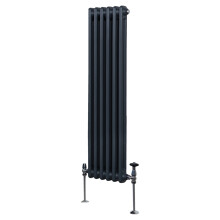 Radiador Tradicional 2 columnas Vertical Gris Antracita 150 x29.2cm