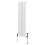 Traditionele 2-kolomsradiator - 1500 x 292 mm - Wit 1