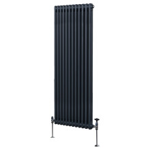 Radiador Tradicional 2 columnas Vertical Gris Antracita 180 x 56.2cm