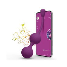 Vibradores Femininos com Controle de APP - 12 modos, silicone ? prova d'?gua, ideal para prazer intenso (Roxo).