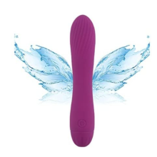 Vibradores Femininos Dildo - Brinquedos sexuais 100% ? prova d'?gua para prazer cont?nuo (P?rpura).