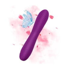 Vibradores Femininos com 10 Modos - Brinquedos sexuais com 10 poderosos modos de velocidade para prazer (P?rpura).