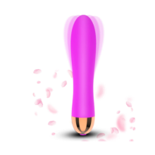 Vibradores Femininos Dildo Sexual, Estimulador de Clitoris - Brinquedos sexuais intensos e discretos (P?rpura).