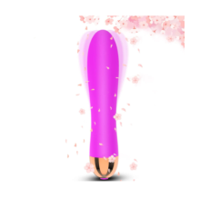 Vibradores Femininos Dildo Sexual, Estimulador de Clitoris - Brinquedos sexuais vibrat?rios e potentes (Roxo).