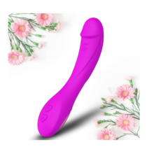 Vibrador de Massagem AV com Carregamento USB, Vibrador de Convers?o de Frequ?ncia, Masturbador Er?tico Feminino, Roxo