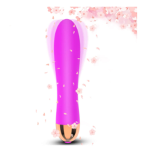 Vibrador de 12 Modos, Vibrador Feminino Recarreg?vel, Brinquedo Sexual Sem Fio, Roxo