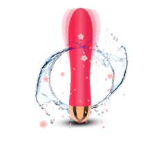 Vibrador de 12 Modos, Vibrador Feminino Recarreg?vel, Brinquedo Sexual Sem Fio