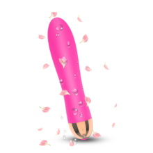 Vibrador Feminino Recarreg?vel USB, Brinquedos Sexuais para Casais Er?ticos