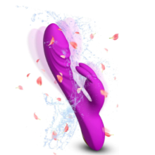 Vibrador Feminino 2 em 1, Brinquedo Sexual para Casal com Carregamento USB, Silicone ? Prova D'?gua, Roxo