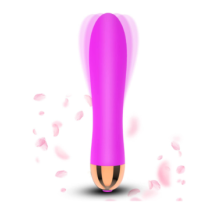 Vibrador Feminino de 12 Modos, Brinquedo Sexual Recarreg?vel por USB, Massageador de Masturba??o Feminino
