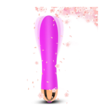 Vibrador Recarreg?vel, Vibrador de Masturba??o Feminina, Vibrador de Brinquedo Sexual, Roxo