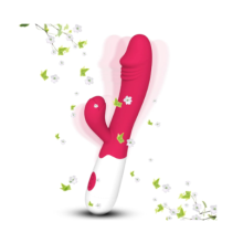 Vibrador de Silicone de Simula??o, Vibrador Feminino Recarreg?vel, Massageador de Ponto G Duplo, Brinquedos Sexuais de 11 Modos