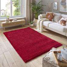 (60cm x 110cm (2ft x 3ft 7")) Soft Thick Luxury Modern Shaggy Rug Red
