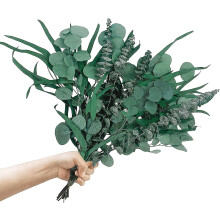 (Green) 12 Pcs Mixed Dried Eucalyptus Bundle - 16" Preserved Eucalyptus Branches Stems Real Eucalyptus Leaves For Floral Arrangements Wedding Bridal Bouquets