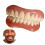 Artificial Teeth Dentures Temporary 1