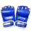 Tiger Claw Mma Mixed Fighting Gloves - Blue 1