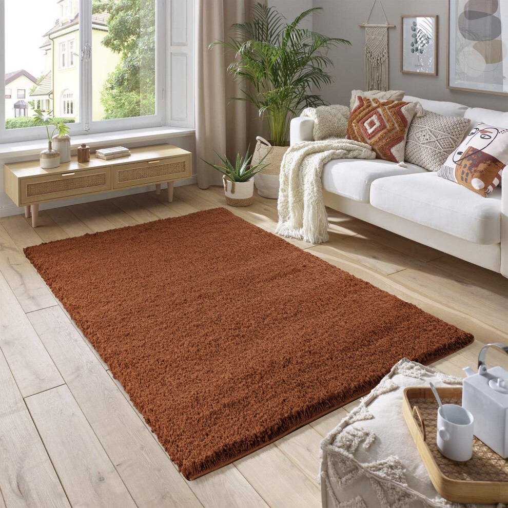 (60cm x 110cm (2ft x 3ft 7")) Soft Thick Luxury Modern Shaggy Rug Terracotta