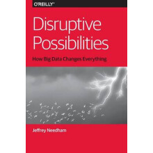 Disruptive Possibilities: How Big Data Changes Everything