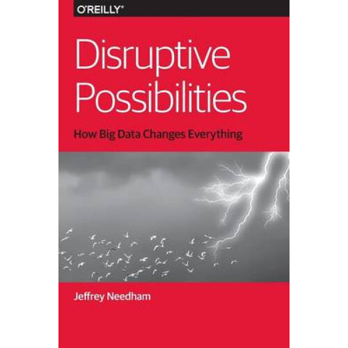 Disruptive Possibilities: How Big Data Changes Everything
