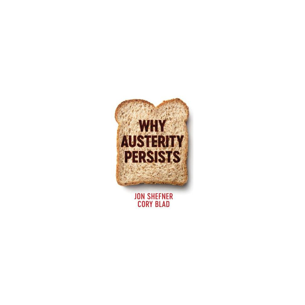 Why Austerity Persists by Jon Shefner NEW Free UK Delivery - Image 4