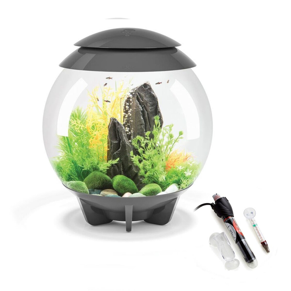 biOrb Halo 30L Aquarium in Grey with MCR LED Lighting and Heater Pack